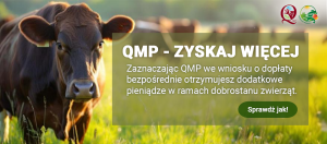 Ekoschemat „Dobrostan zwierząt”. Dodatkowe pieniądze dla hodowców bydła z QMP – tylko do 16 czerwca!