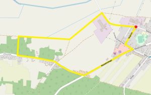 Trasa bieg Mikołajkowy