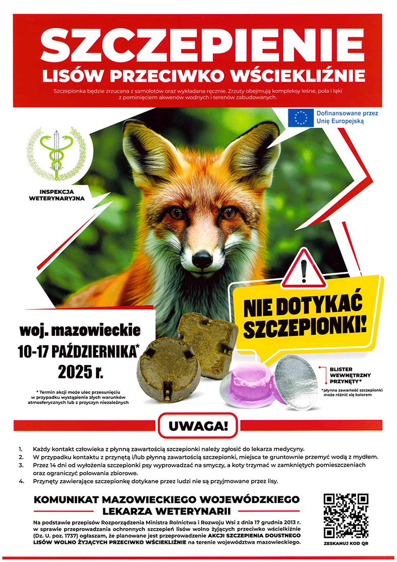 Szczepienia lisów przeciwko wściekliźnie